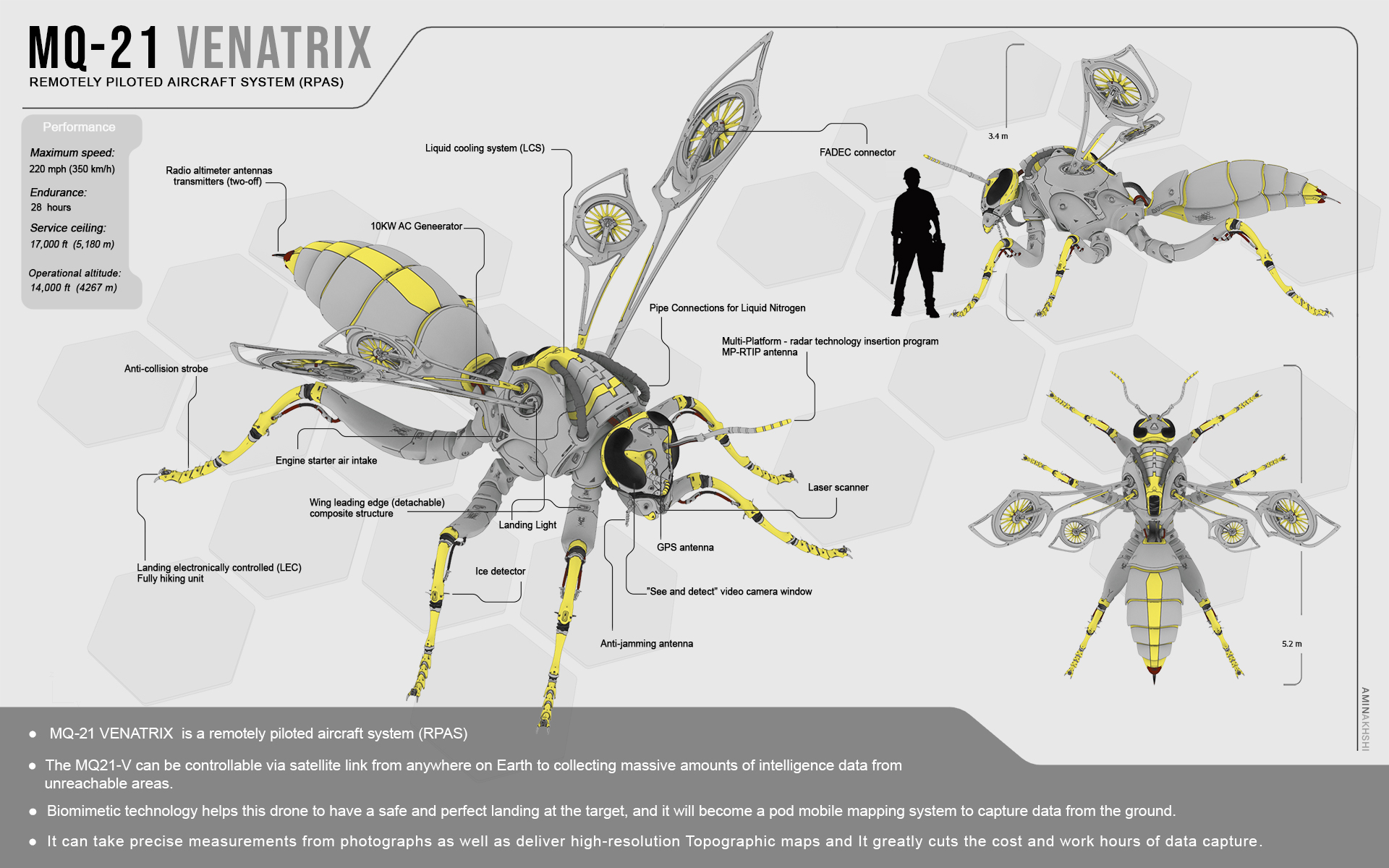 biology，Modeling wasp，