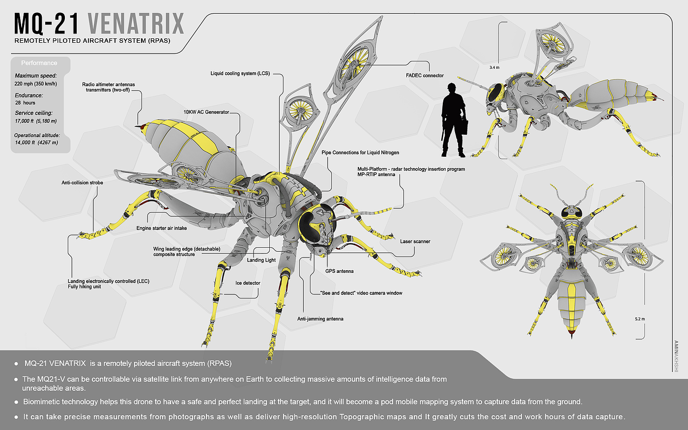 biology，Modeling wasp，