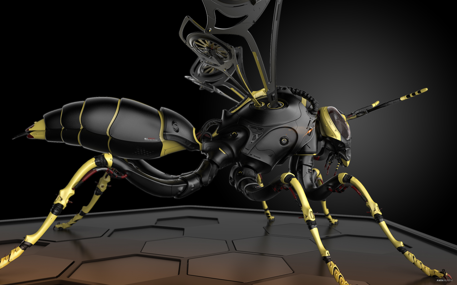 biology，Modeling wasp，