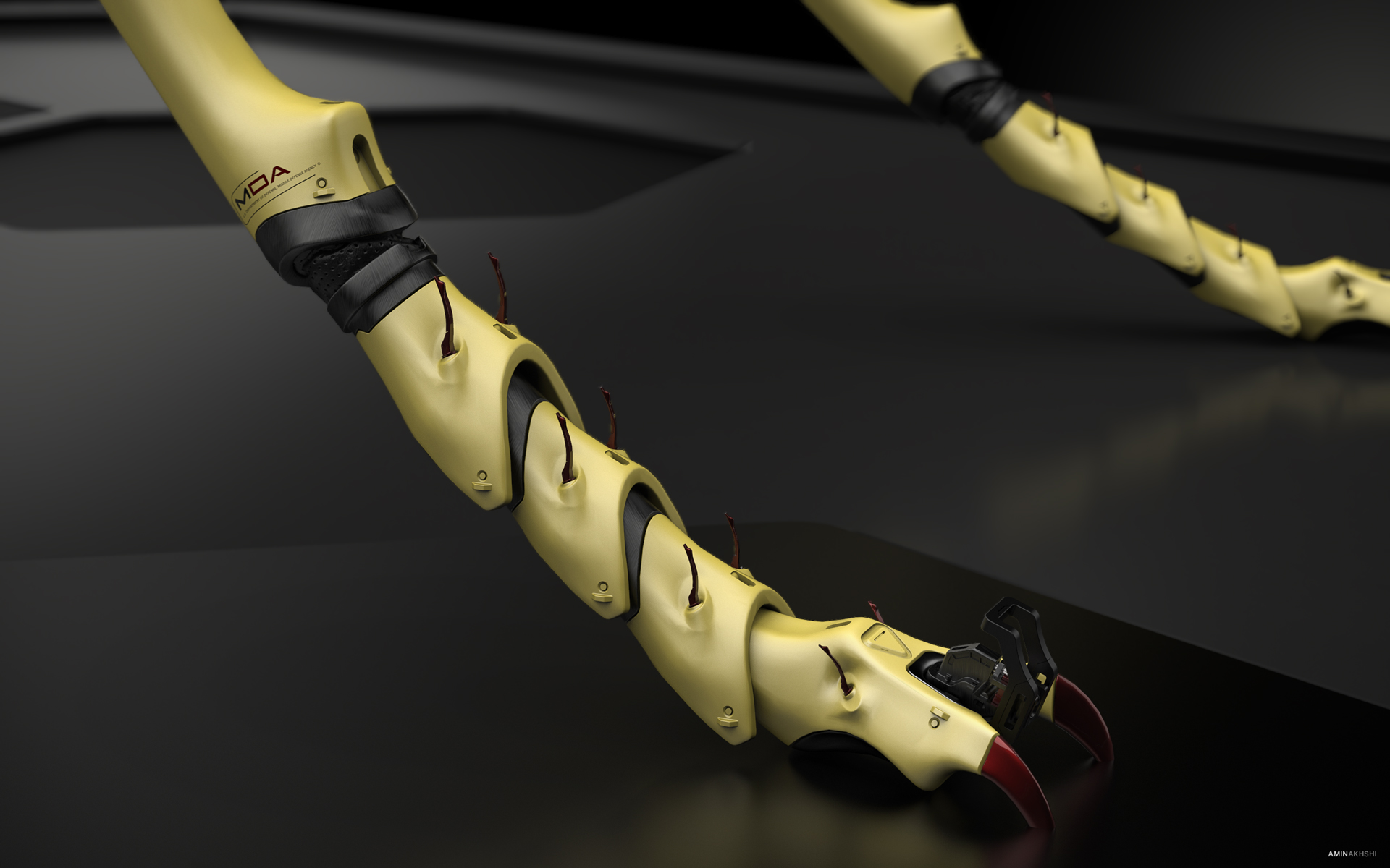 biology，Modeling wasp，