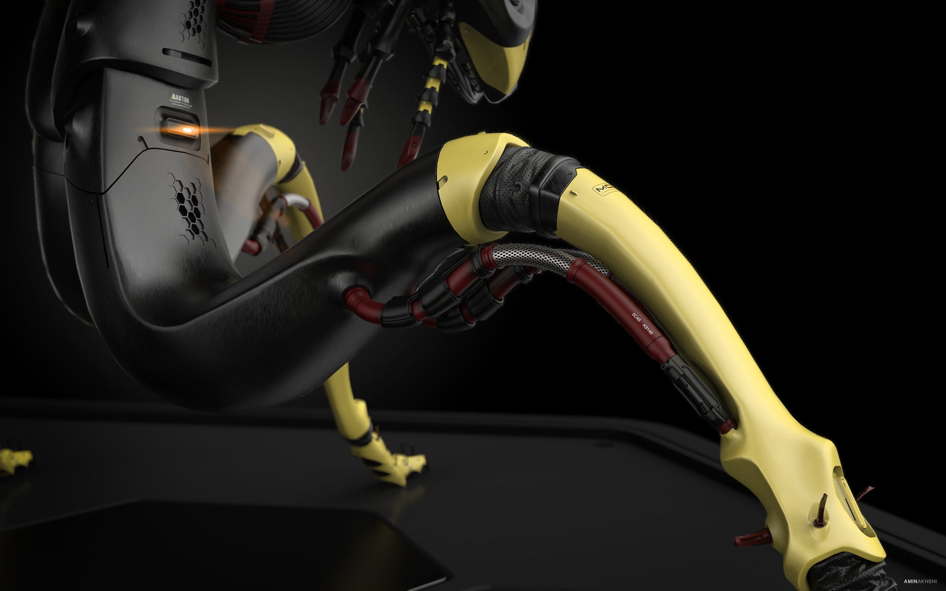 biology，Modeling wasp，