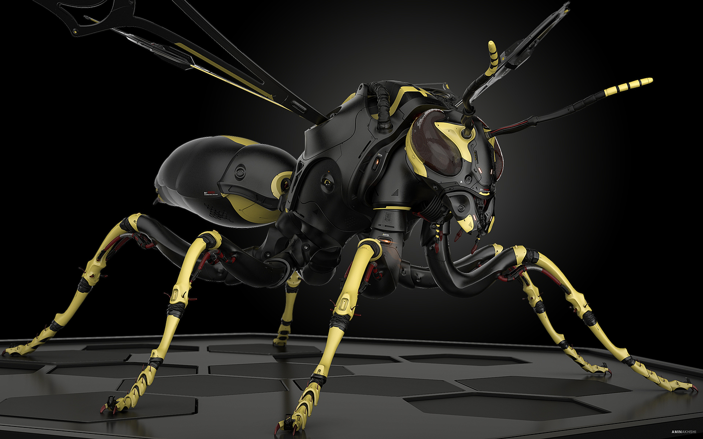 biology，Modeling wasp，