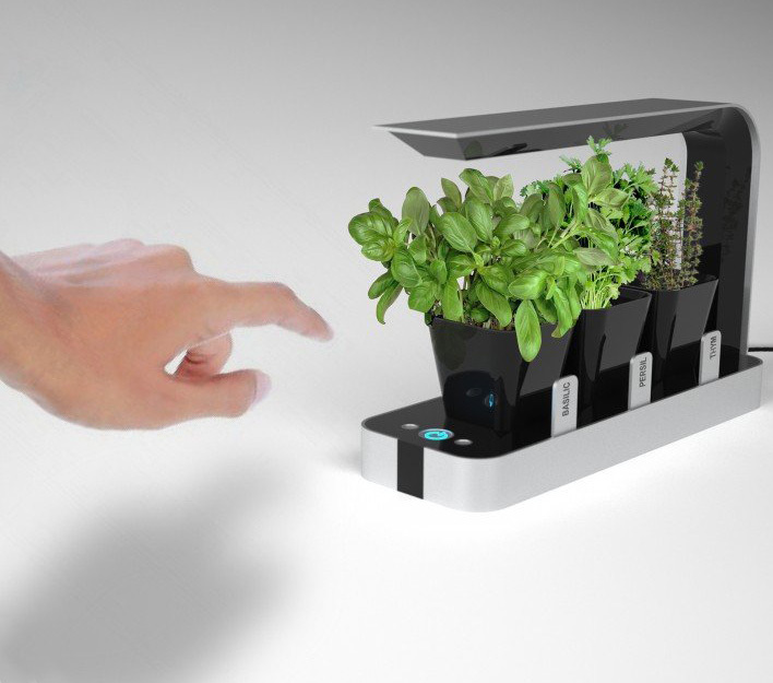 bb，Small garden，originality，Design，Botany，