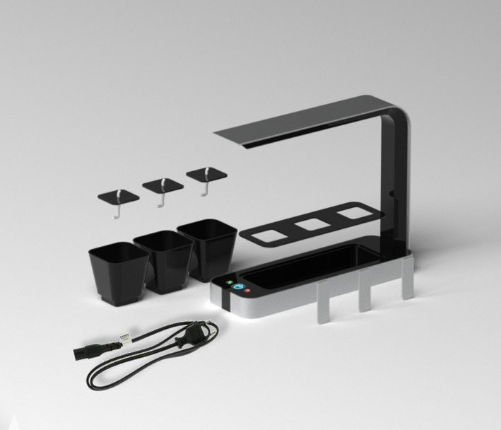 bb，Small garden，originality，Design，Botany，