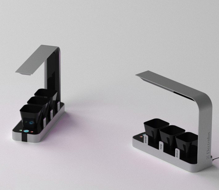 bb，Small garden，originality，Design，Botany，