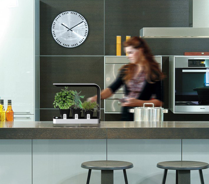 bb，Small garden，originality，Design，Botany，