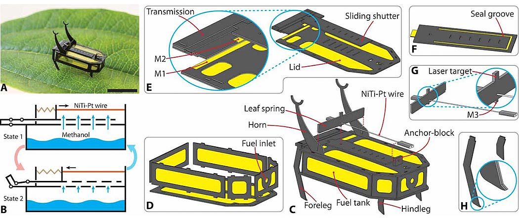 Micro robot，Actuator，sensor，Fuel，