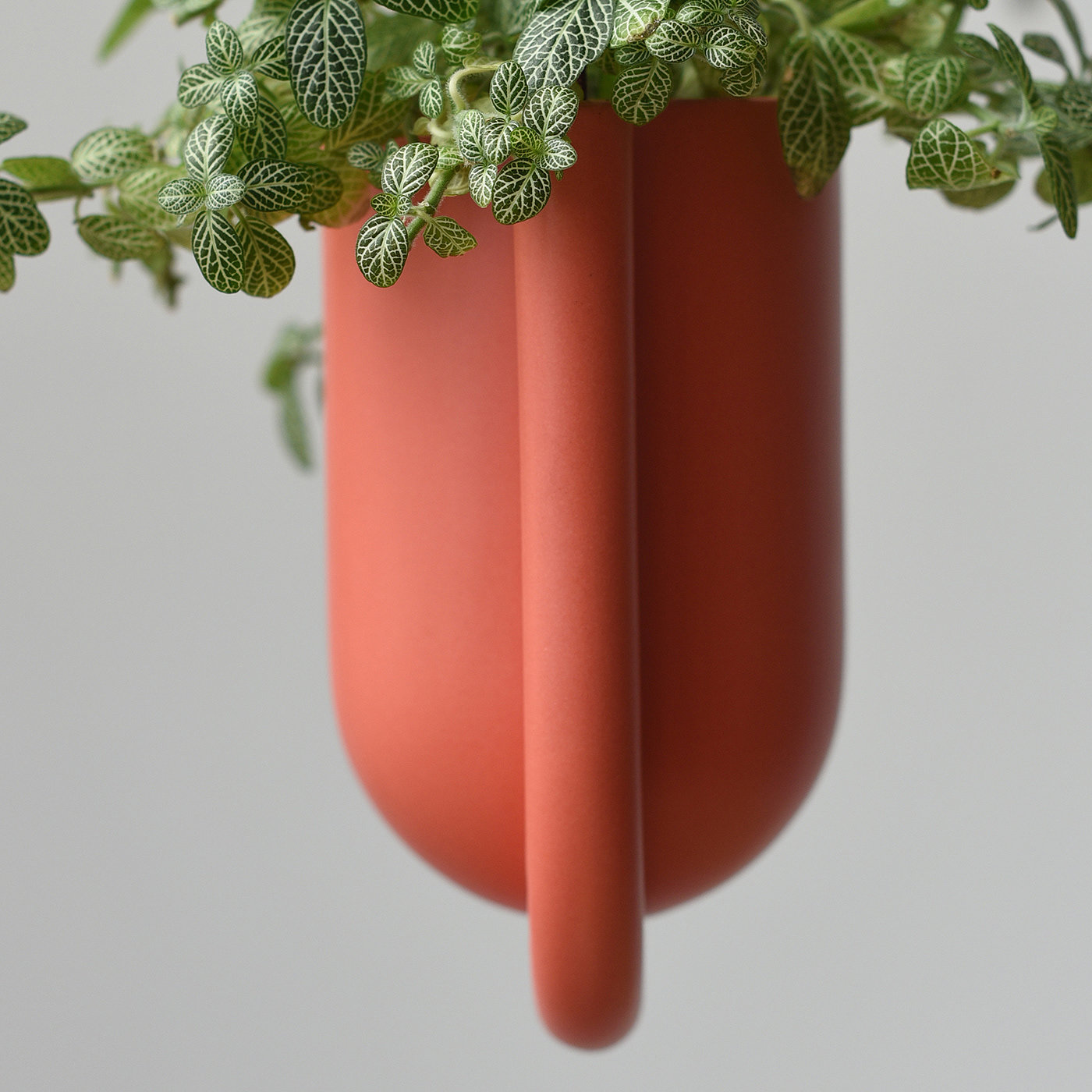 Flowerpot，Hanging Basin，ceramics，suspension，
