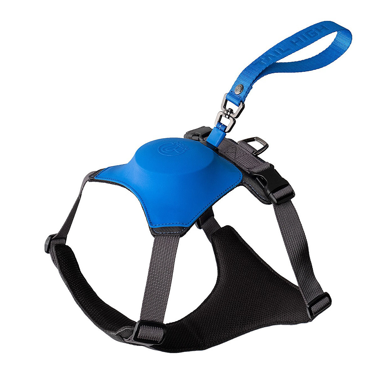 Home，dog，Tether a dog，