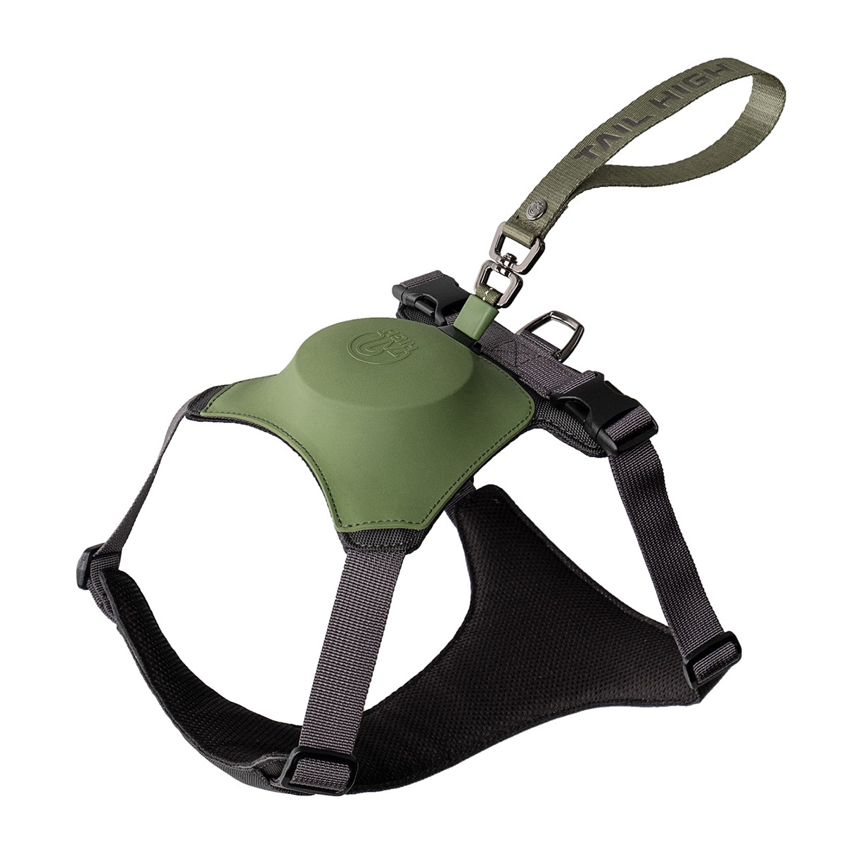 Home，dog，Tether a dog，