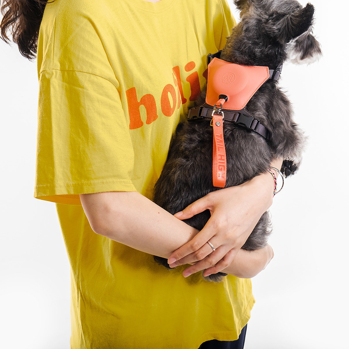 Home，dog，Tether a dog，
