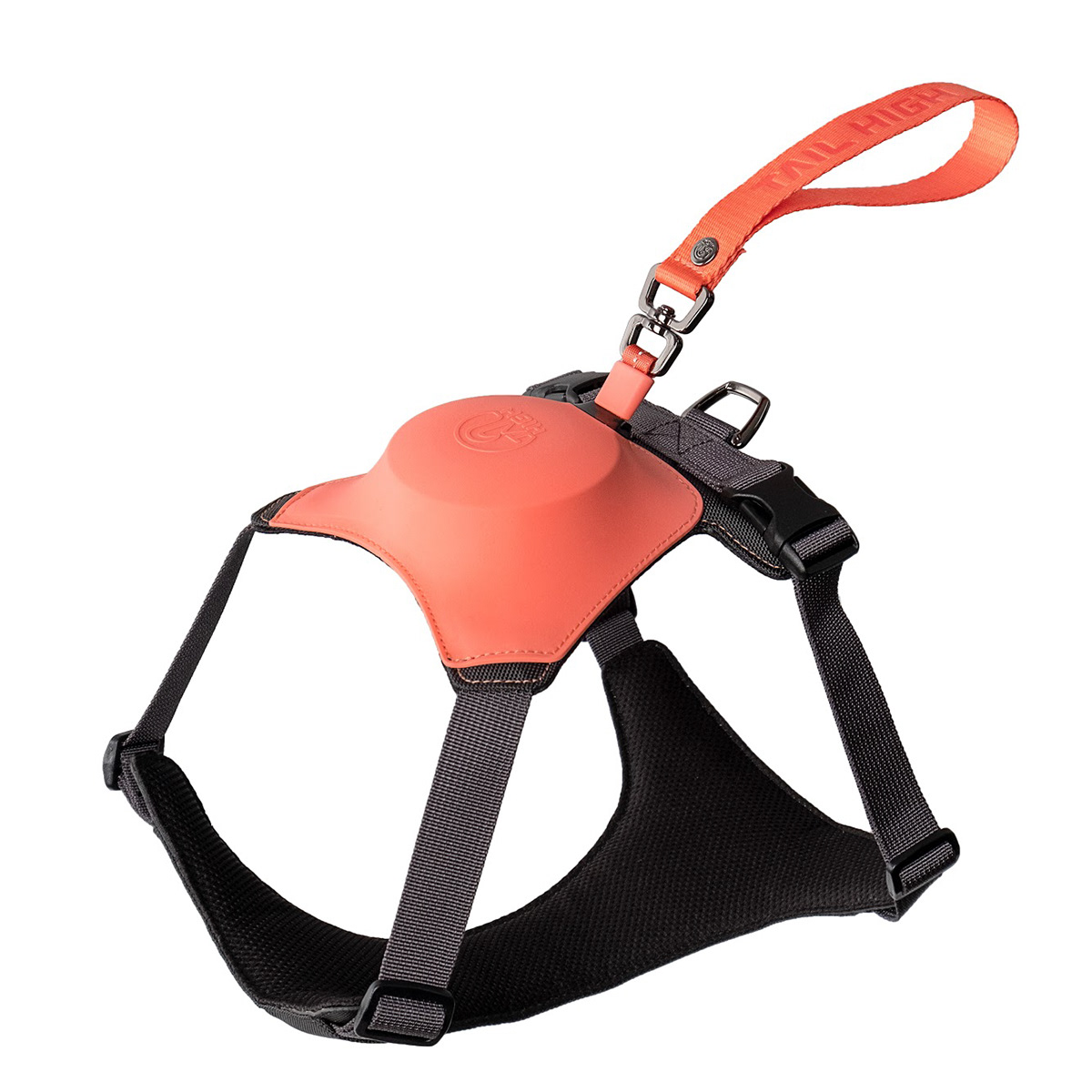 Home，dog，Tether a dog，