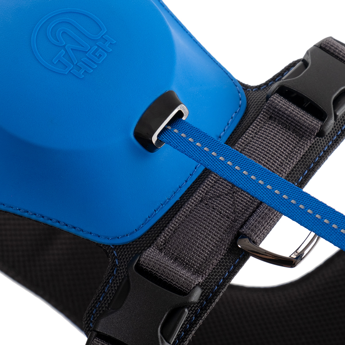 Home，dog，Tether a dog，