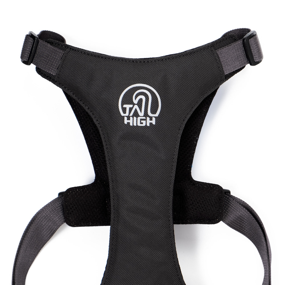 Home，dog，Tether a dog，