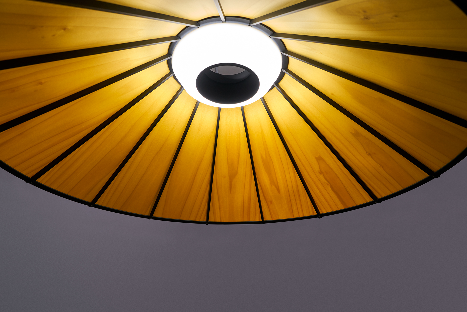 Banga Pendant，Lighting，lighting，Lampshade，