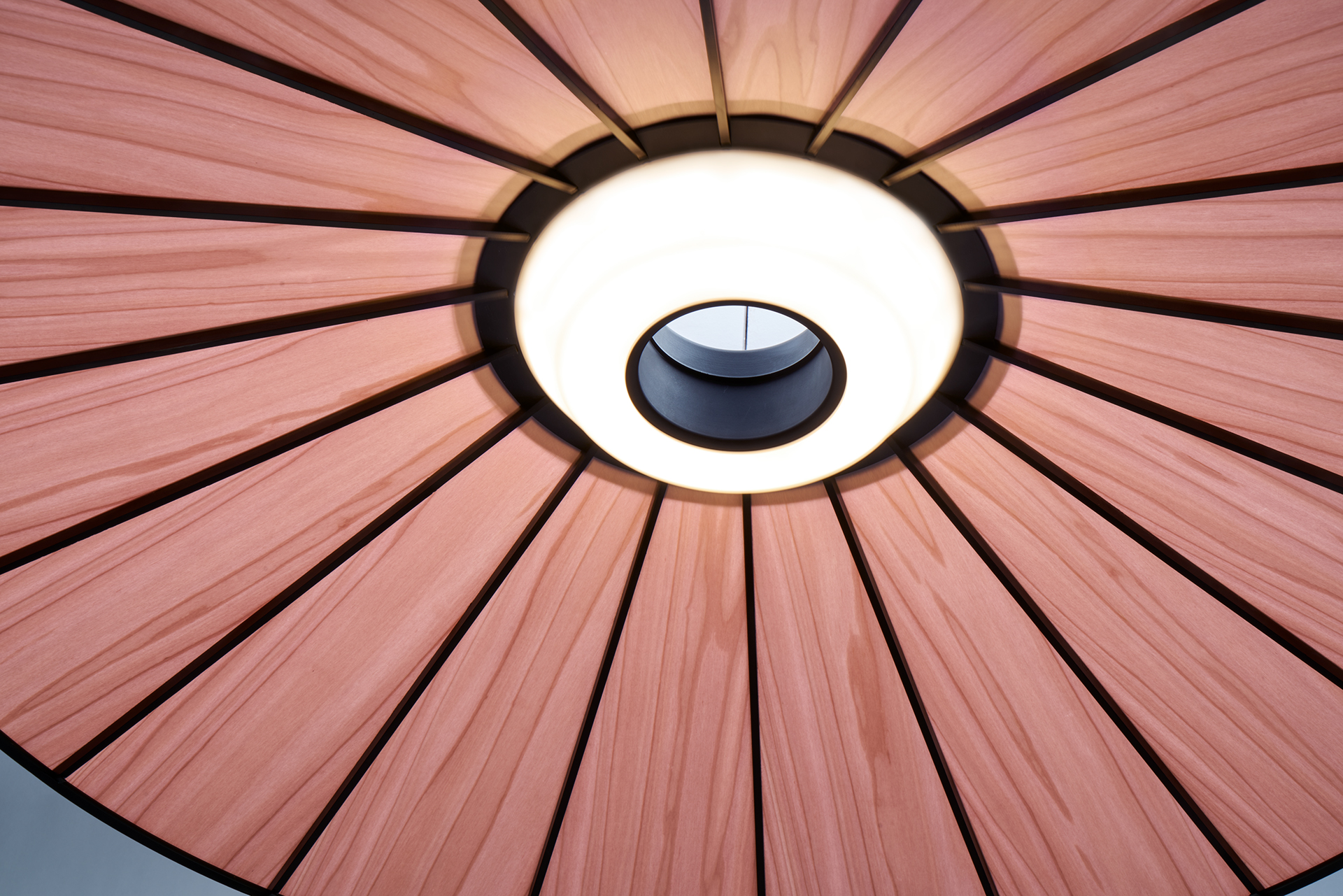 Banga Pendant，Lighting，lighting，Lampshade，