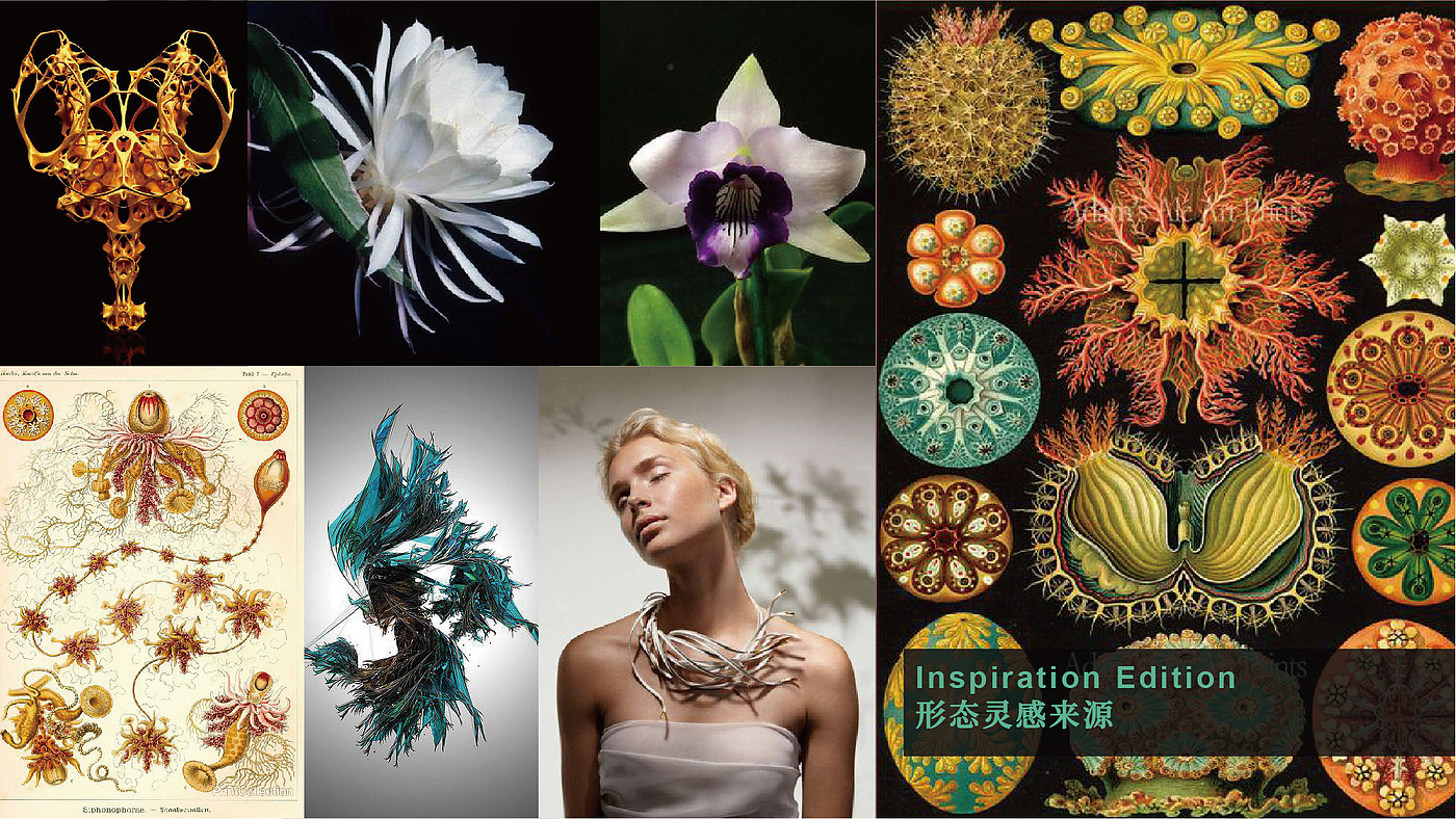 Jewelry Design ，Digital design，Cultural innovation，Ancient philosophy，