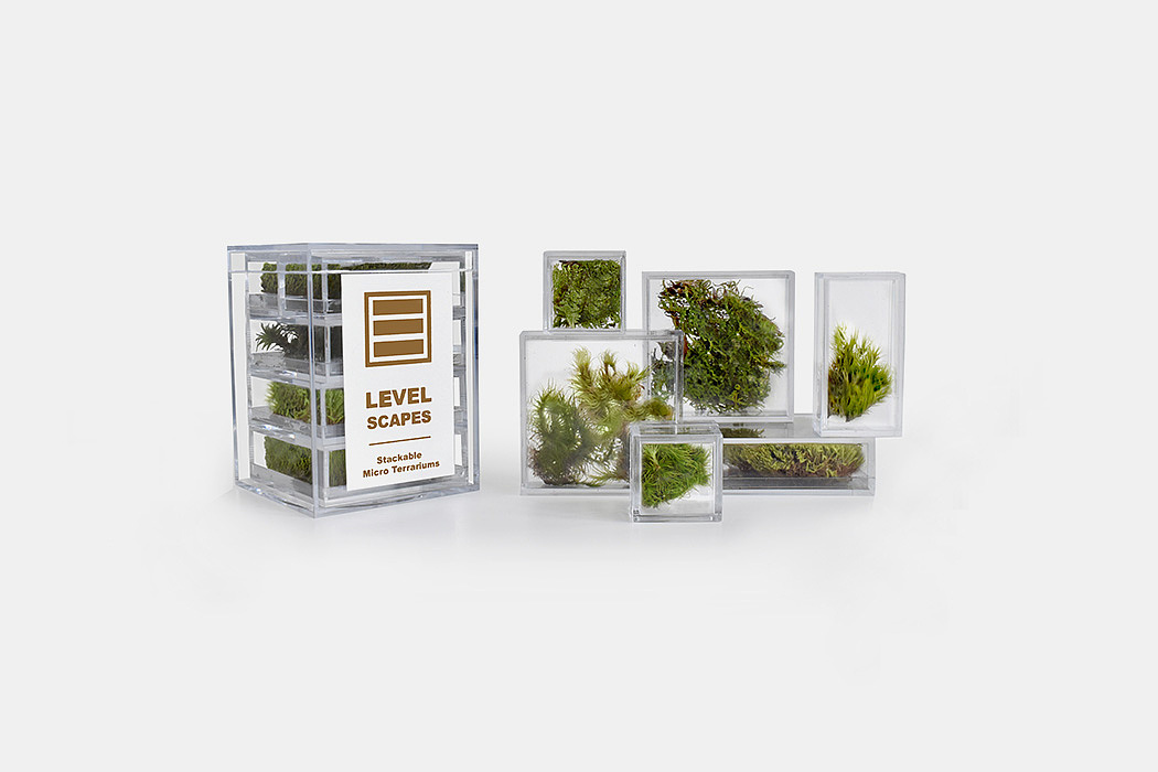 玻璃，植物，温室，绿色，
