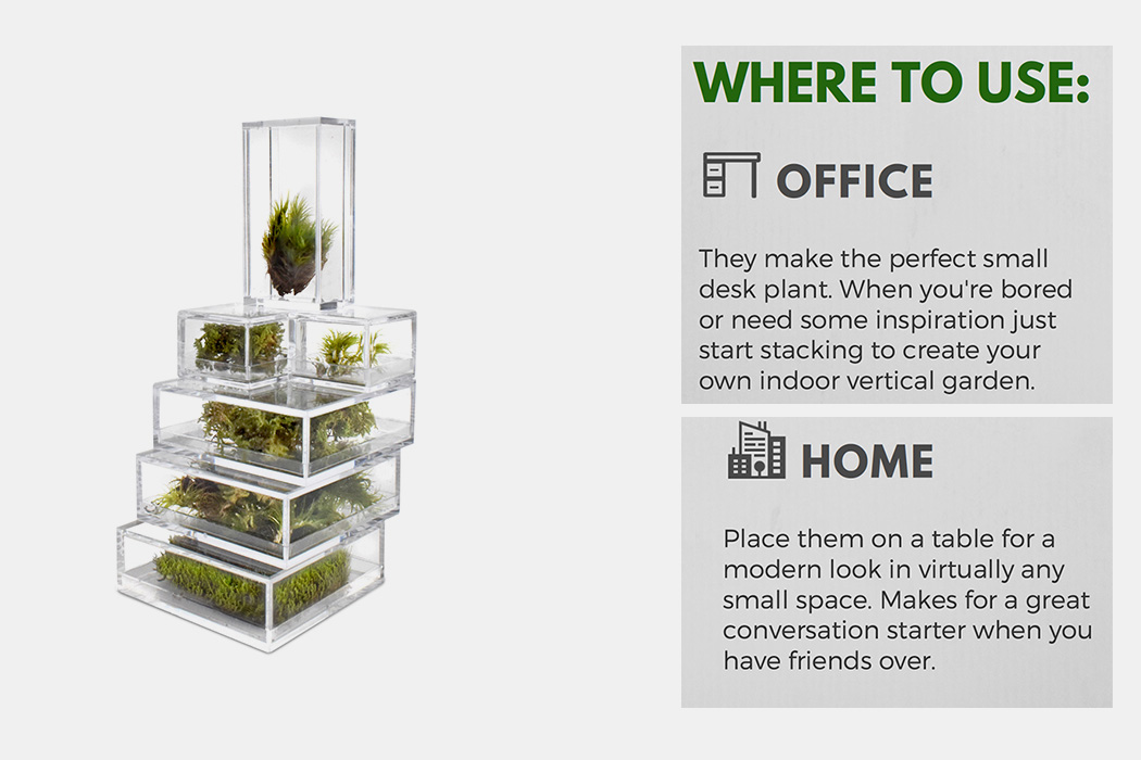 Glass，Botany，greenhouse，green，