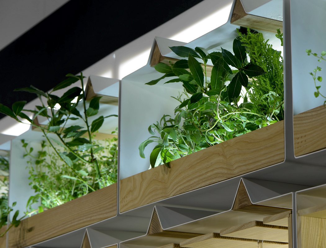 kitchen，originality，Design，grace，indoor，