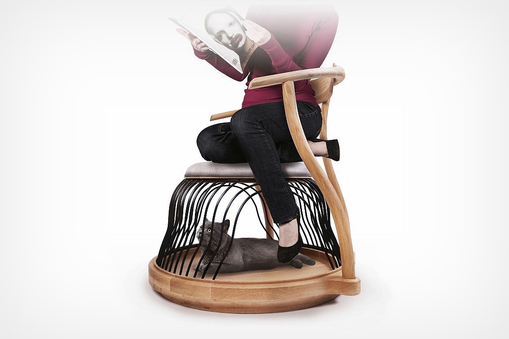 originality，Design，Pets，chair，