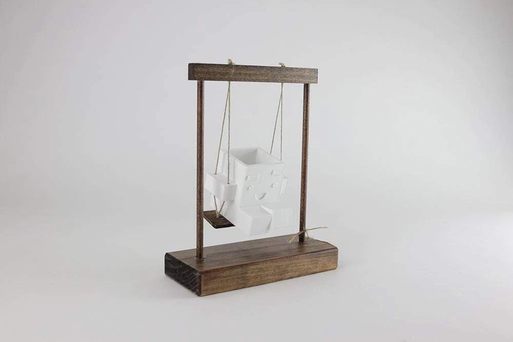 Flowerpot，Botany，Fleshy，Interesting，