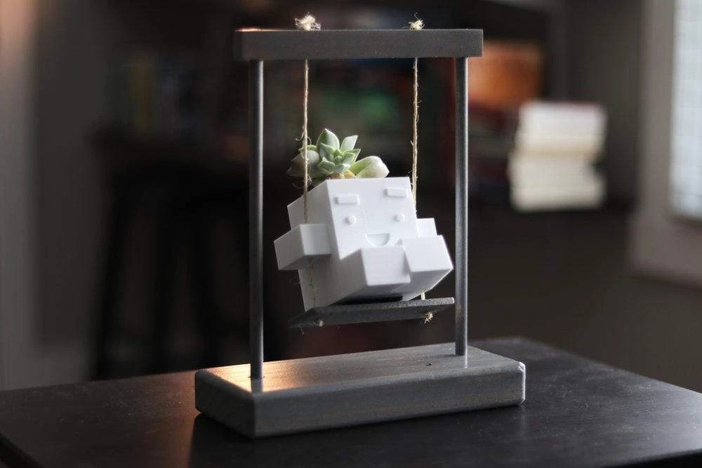 Flowerpot，Botany，Fleshy，Interesting，