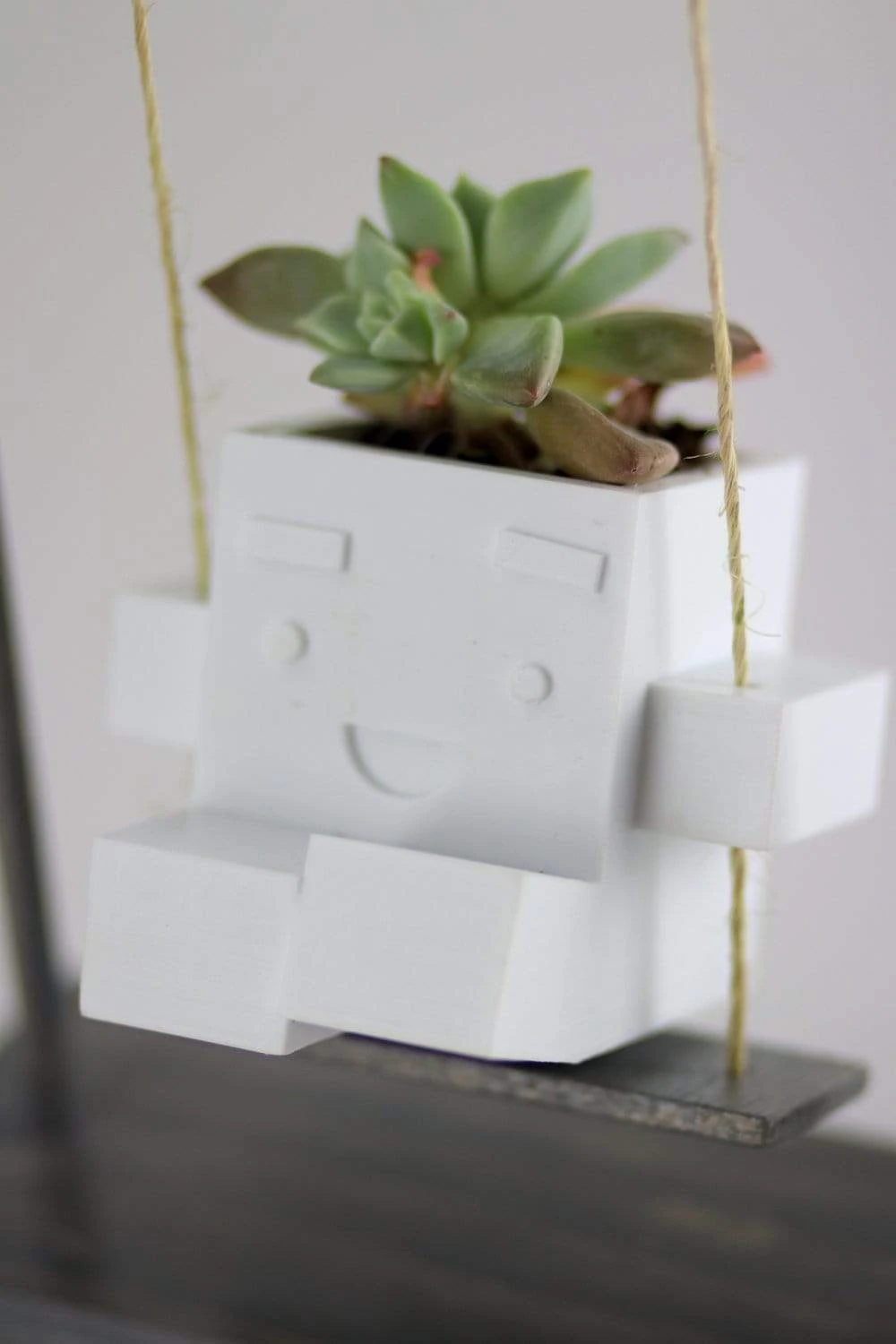 Flowerpot，Botany，Fleshy，Interesting，