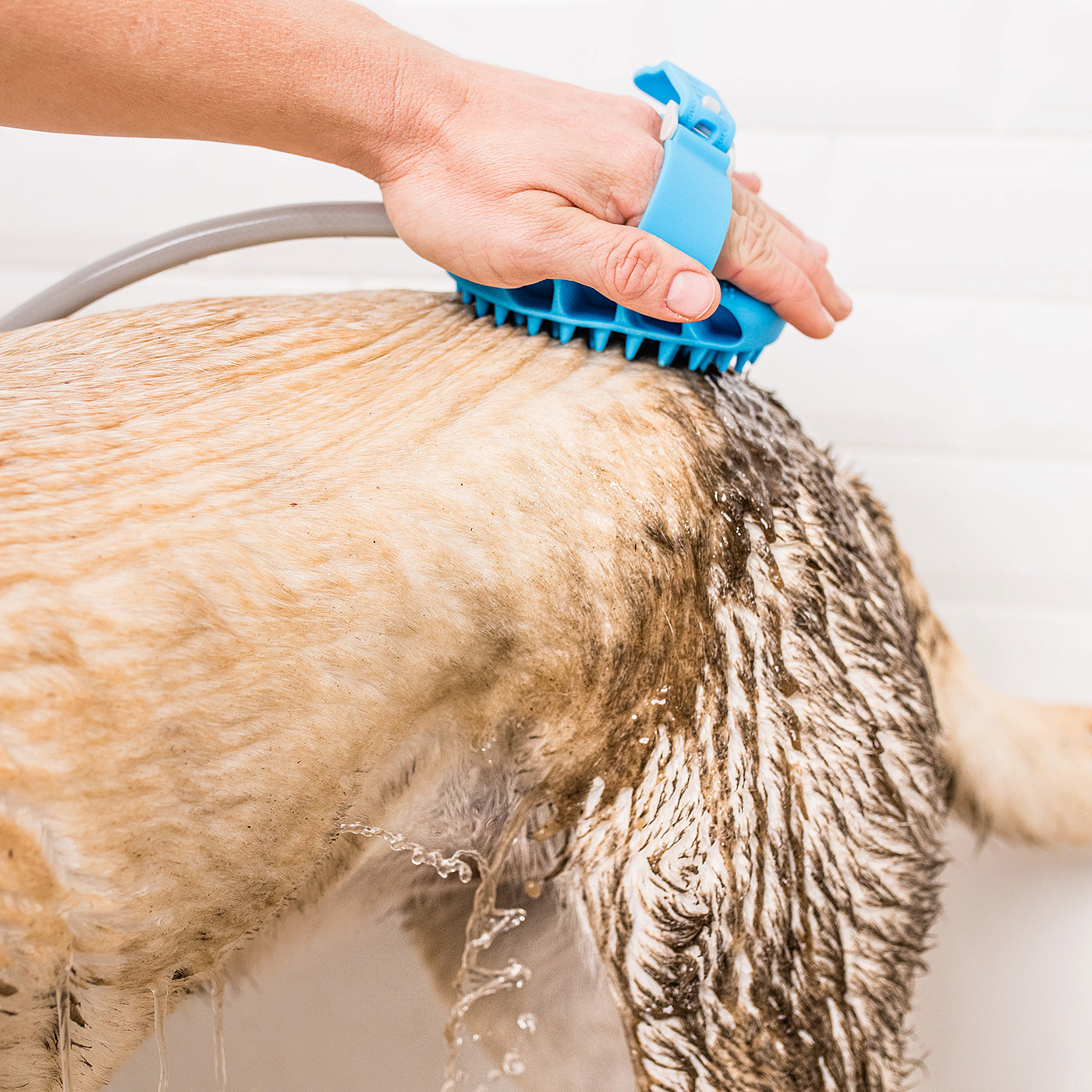 Meanew Design，Mingrui design，Pet beauty tools，Ningbo Industrial Design，