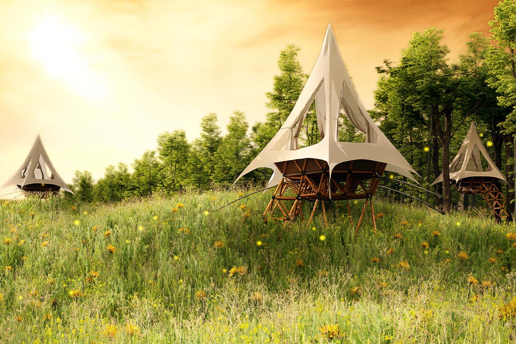 Tent，Airbnb，Tree House，