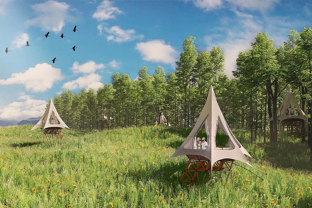 Tent，Airbnb，Tree House，