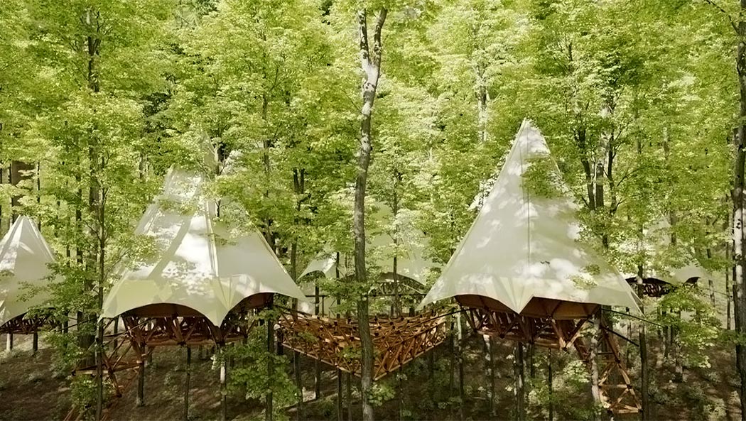 Tent，Airbnb，Tree House，