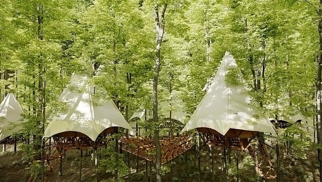 Tent，Airbnb，Tree House，