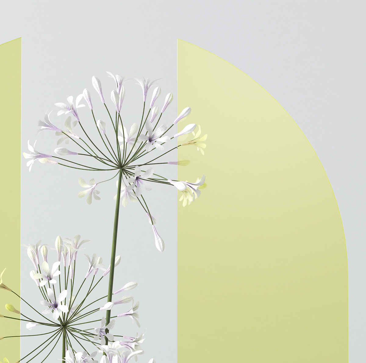 vase，Metal，polyvinyl chloride，indoor，decorate，