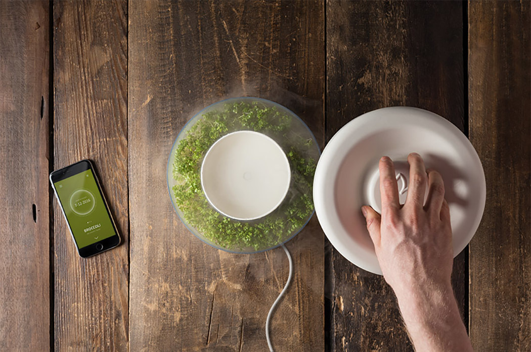 bean，Bean sprouts，originality，Design，tool，