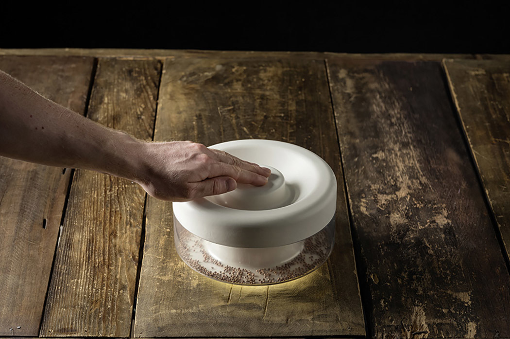 bean，Bean sprouts，originality，Design，tool，