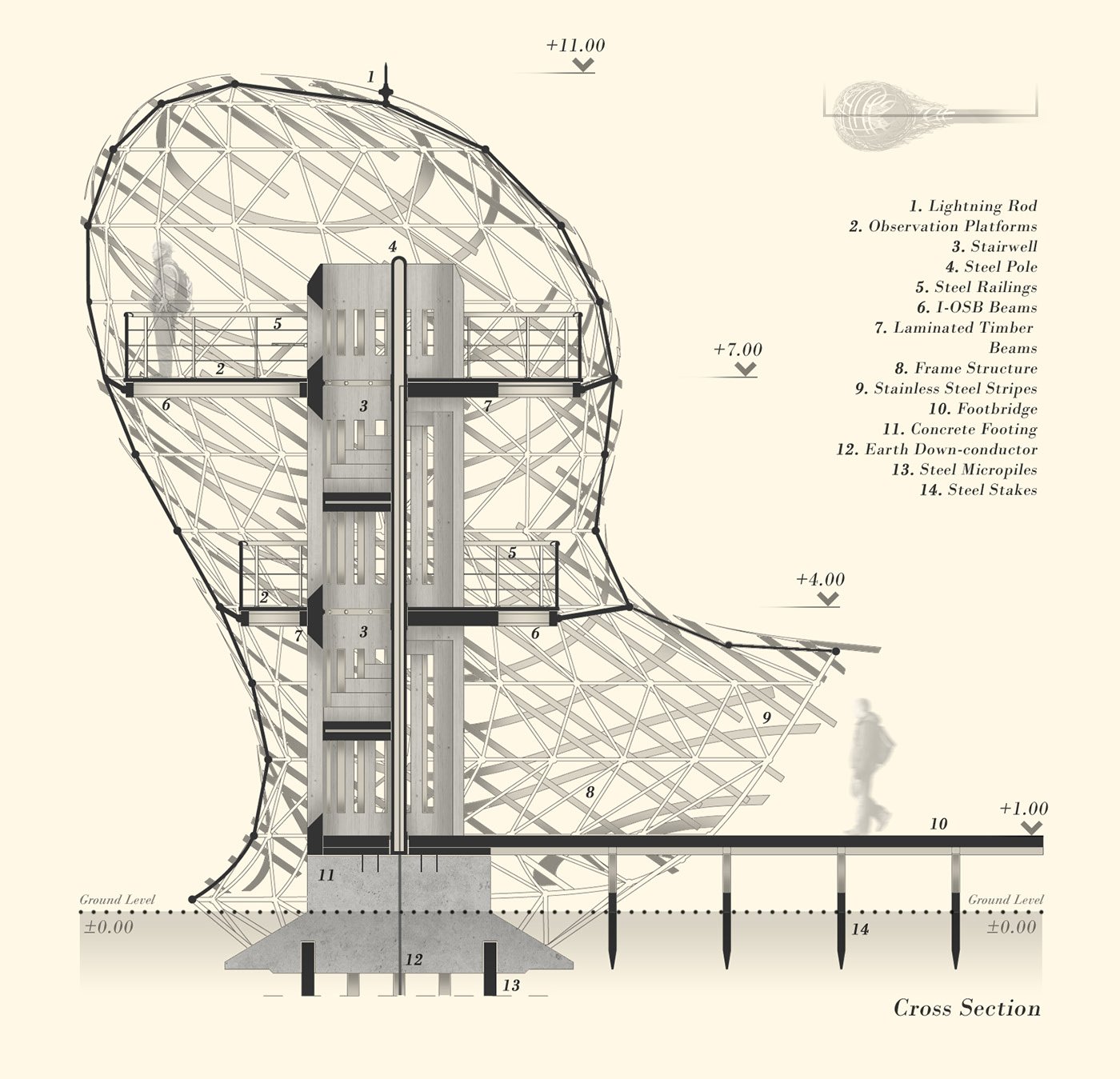 Bird's nest，bird，observation，wild，park，