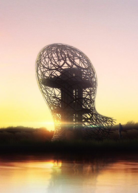 Bird's nest，bird，observation，wild，park，