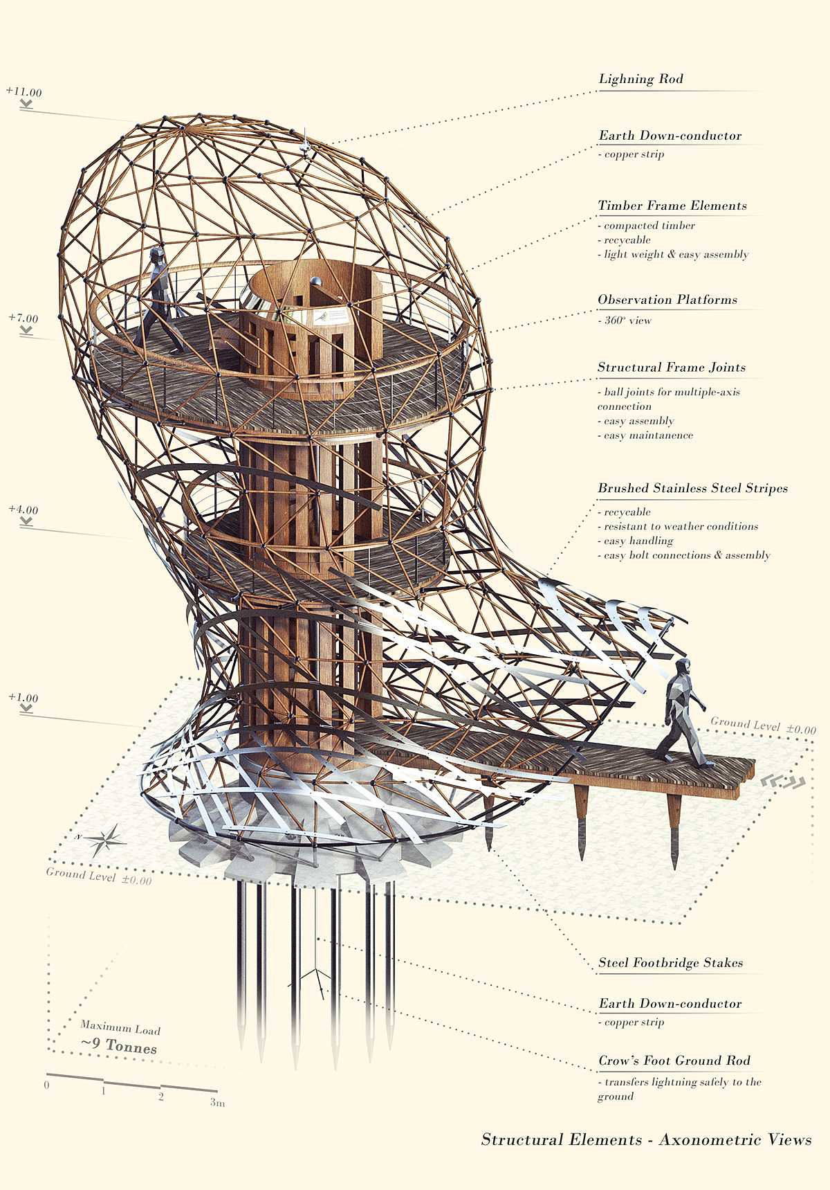 Bird's nest，bird，observation，wild，park，