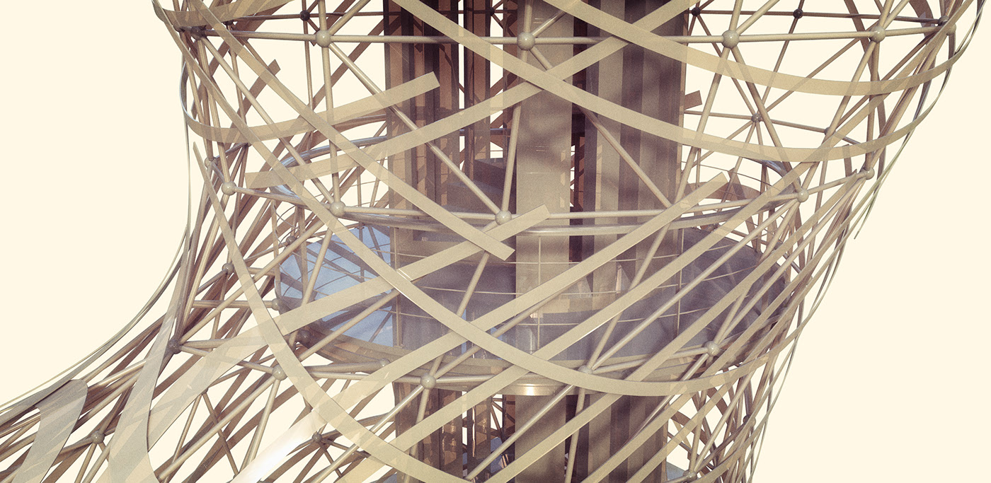 Bird's nest，bird，observation，wild，park，