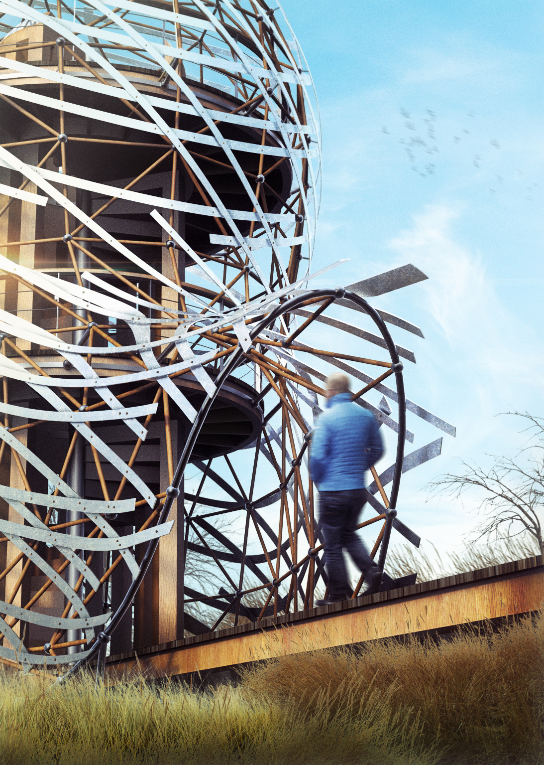 Bird's nest，bird，observation，wild，park，