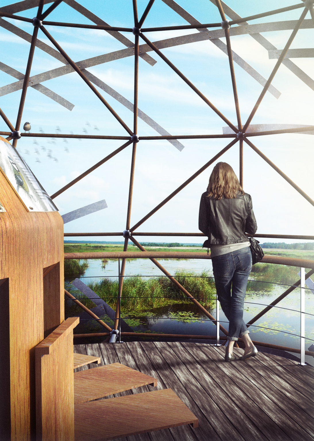 Bird's nest，bird，observation，wild，park，