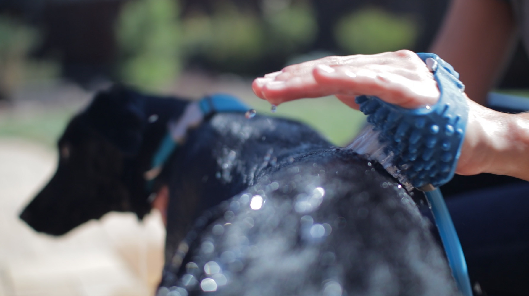 Bathing tools，Pet Supplies & Pet，Home creativity，product design，