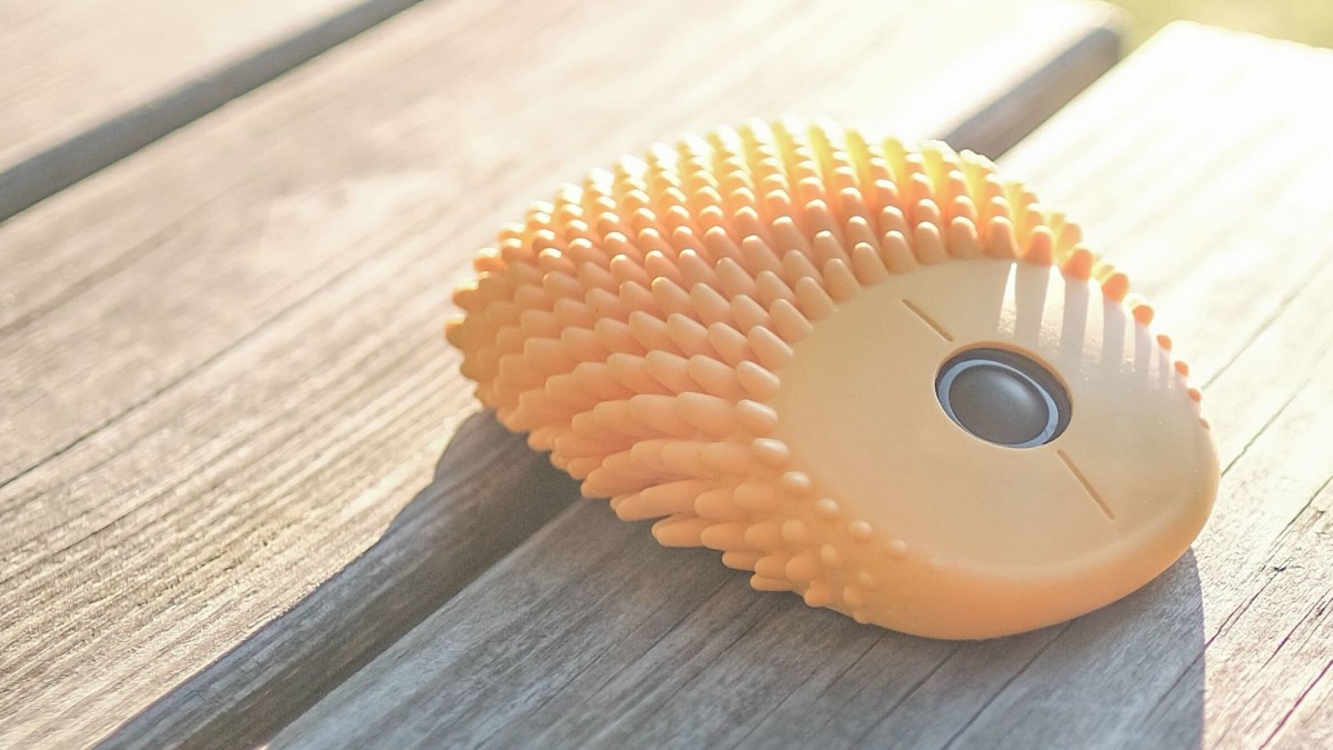 originality，Design，autism，mouse，Hoglet，