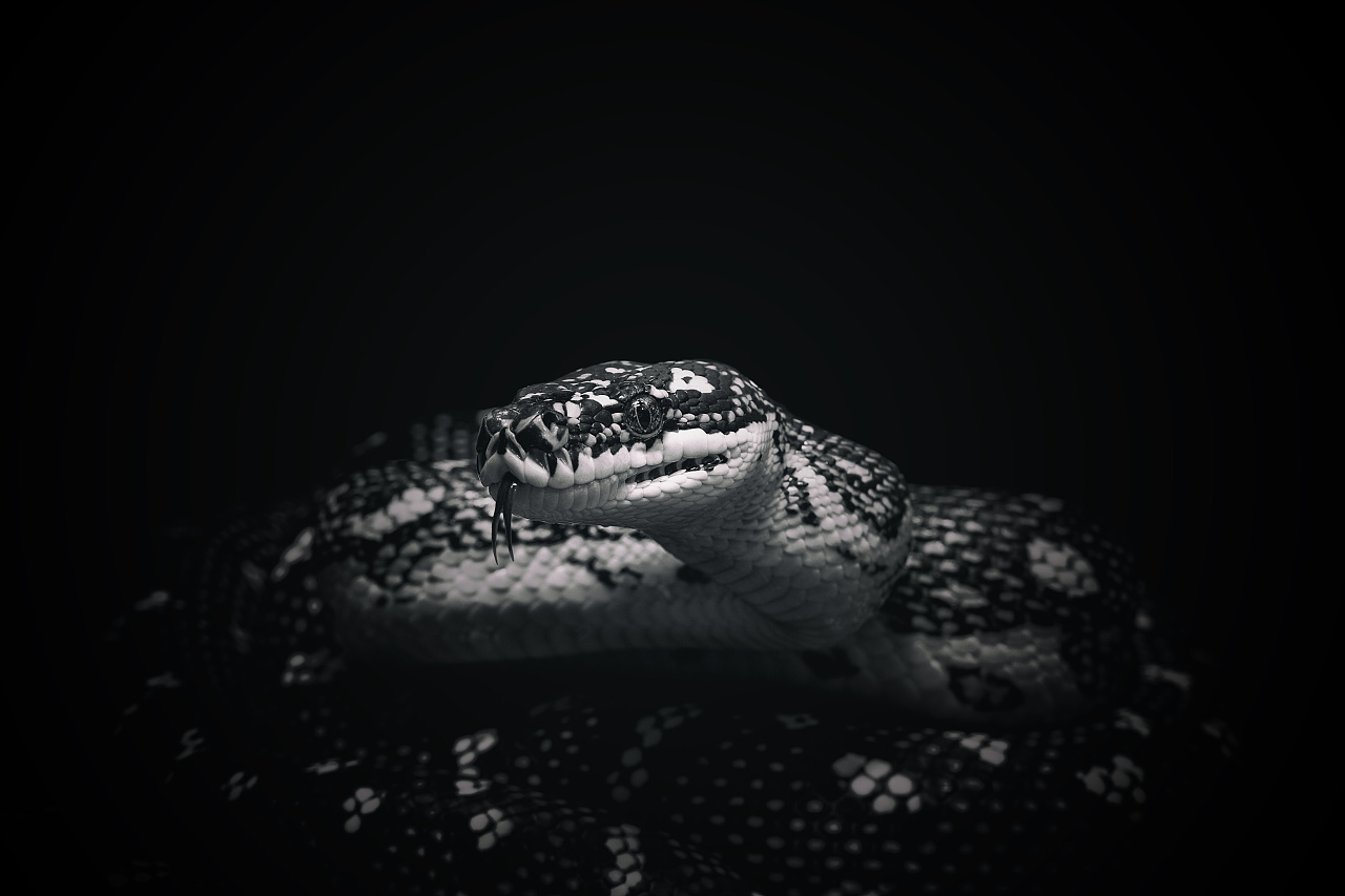 min design，sporting facilities，recreational machines，Game handle，