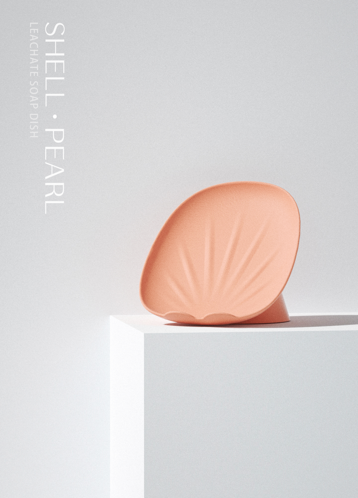 Daily Necessities，Soap box，Cartoon，shell，Little bear，