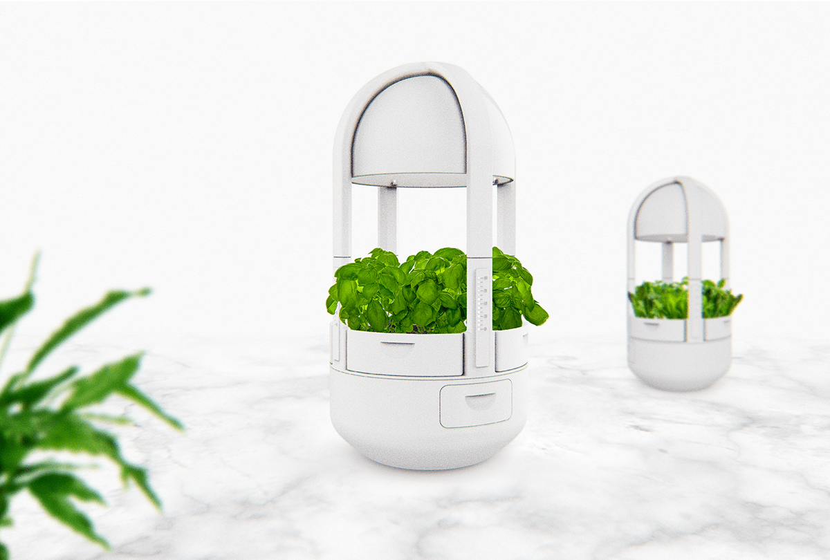 Indoor plant，application program，Plant cultivation，