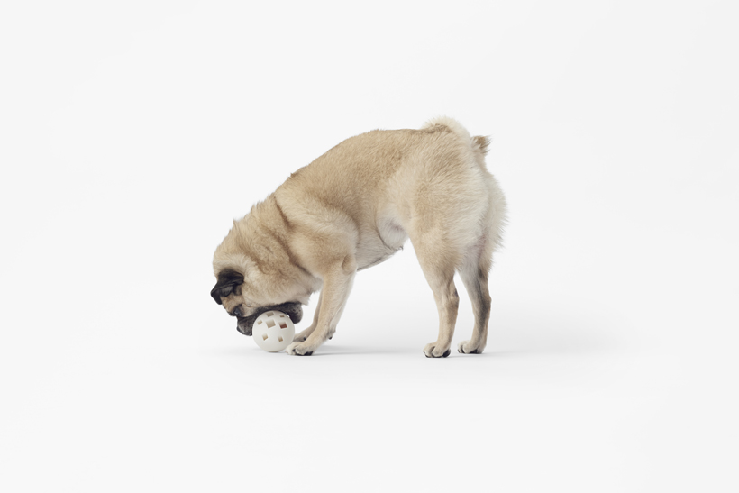 Dog house design，Sato Da，