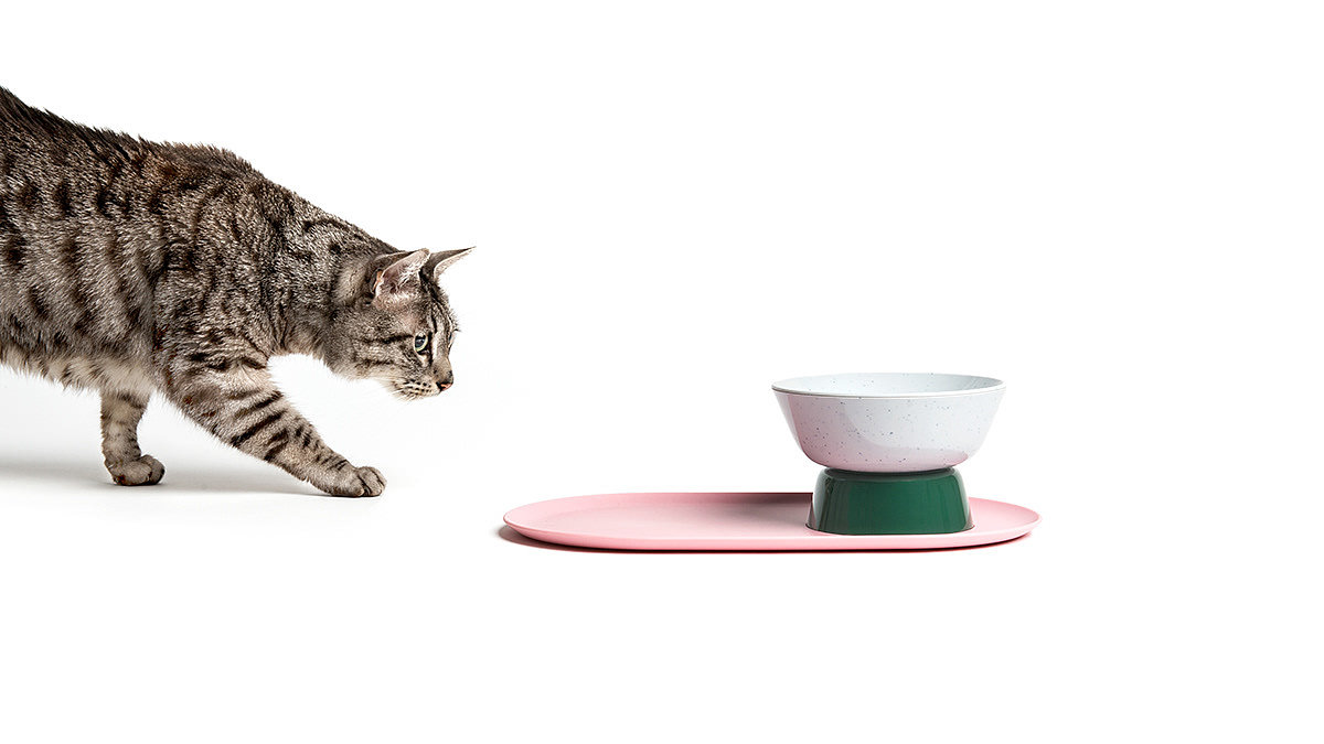 cat，industrial design，Mingrui design，Meanew Design，Pets，