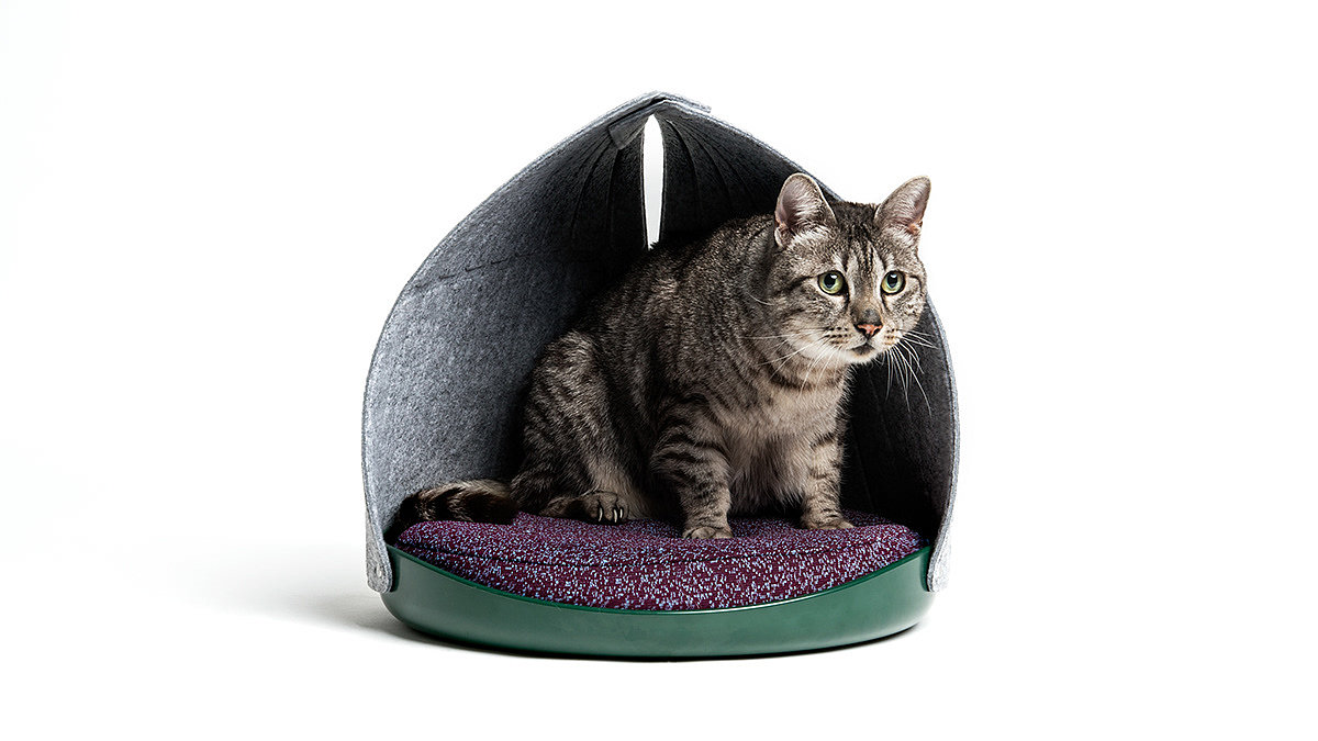 cat，industrial design，Mingrui design，Meanew Design，Pets，